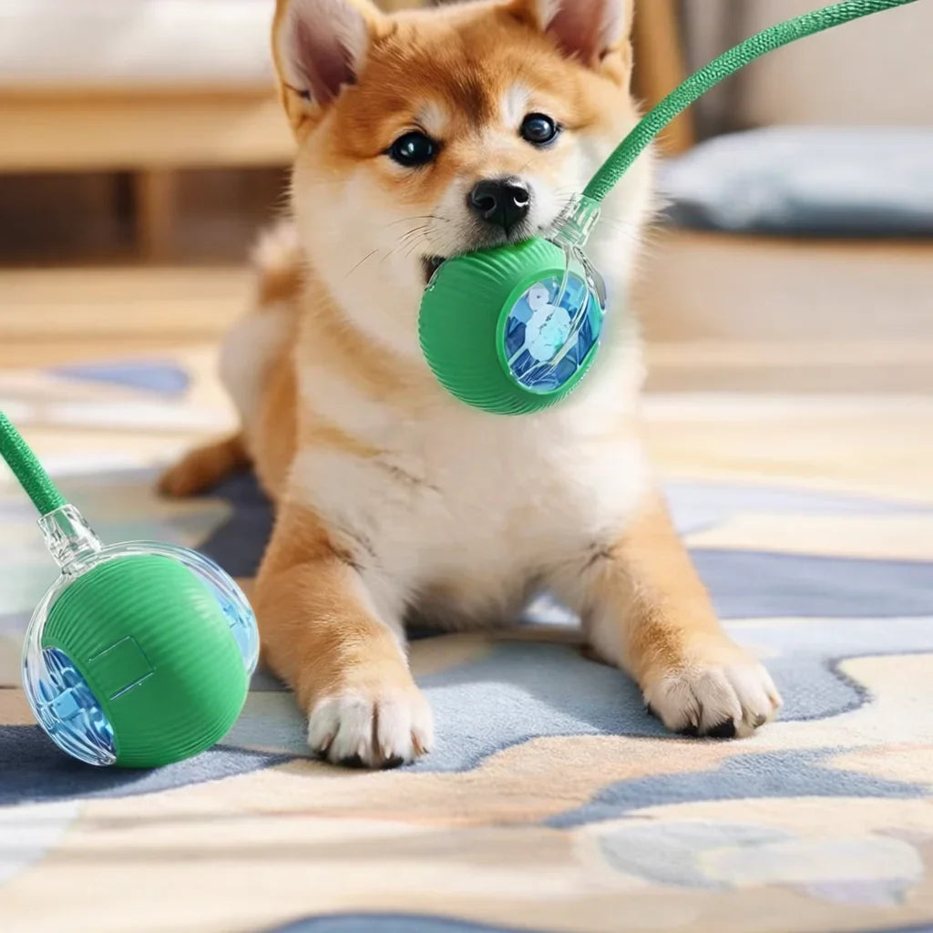 Bola Interativa Inteligente para Pets
