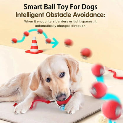 Bola Interativa Inteligente para Pets